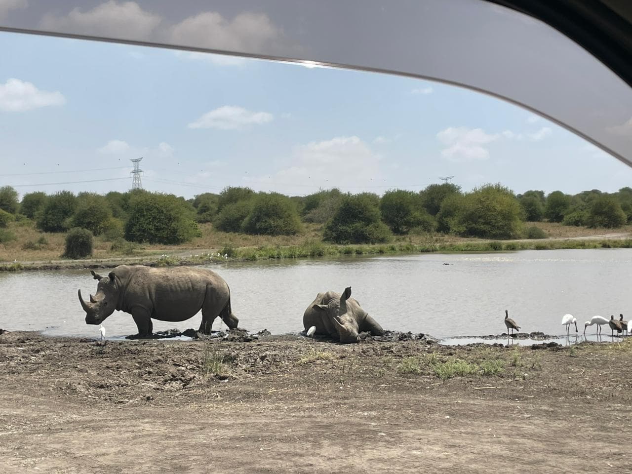 Lewa Conservancy Private Fly-In