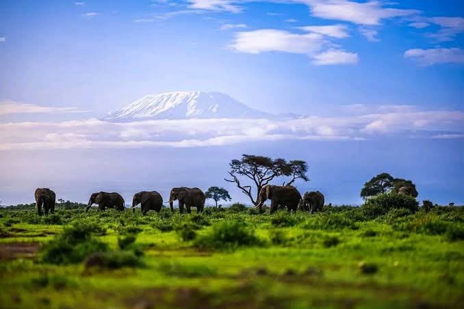 Amboseli & Kilimanjaro Skyline Escape